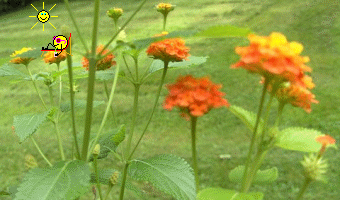 Emoticons 474 Emozioni