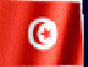 bandiera tunisia