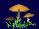 funghi