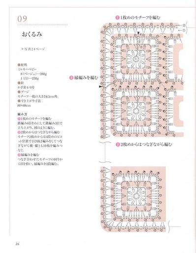 Schema punto croce Copertina Rosa 2